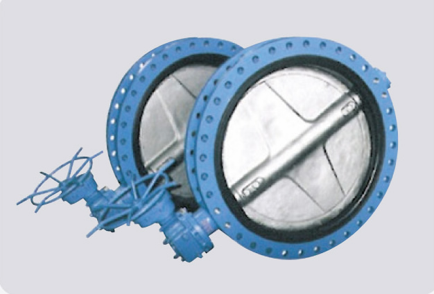 Butterfly Valve